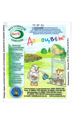 Домоцвет
