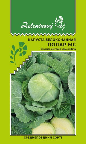 Капуста ПОЛАР МС — Среднепоздний сорт!