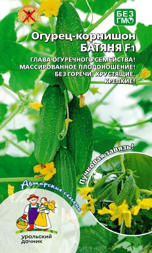 Огурец БАТЯНЯ F1 — Глава огуречного семейства! Массированное плодоношение! Без горечи, хрустящие, крепкие!