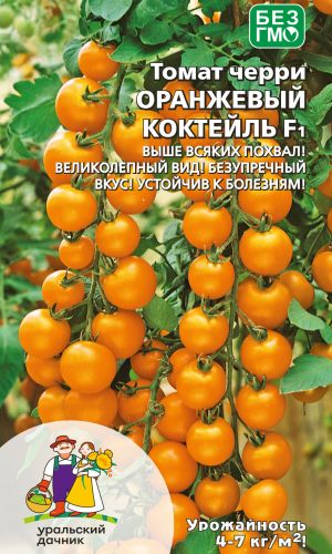 Томат ОРАНЖЕВЫЙ КОКТЕЙЛЬ F1 — Выше всяких похвал! Великолепный вид! Безупречный вкус! Устойчив к болезням!