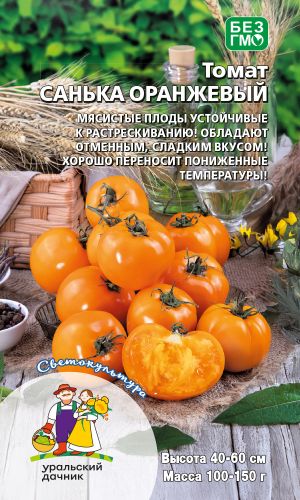 Томат САНЬКА ОРАНЖЕВЫЙ