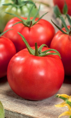 Томат ЯБЛОЧНЫЙ — Соблазнительный вкус и восхитительный вид! Великолепная урожайность!